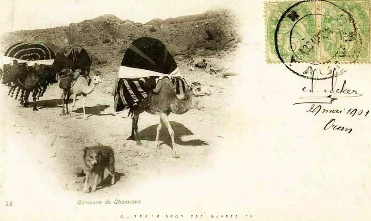 Sud oranais 08.jpg